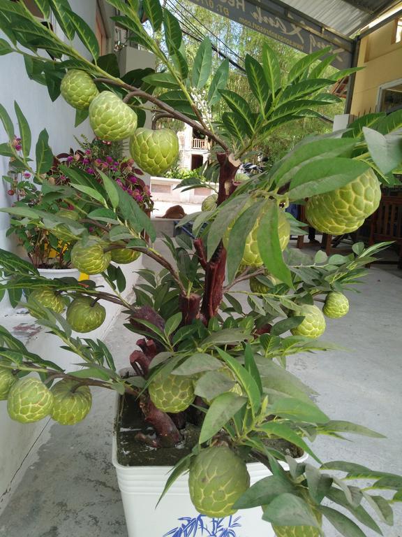 Song Xanh Bungalow Hotel Phu Quoc Luaran gambar